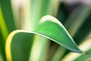 大世界RPG《白银之城》PV与实机首曝  效果惊艳！